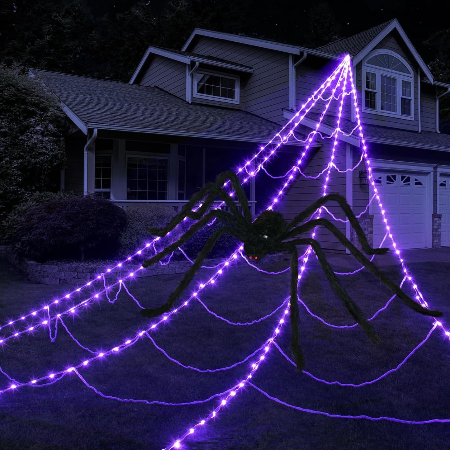 NightCrawl Web Lights