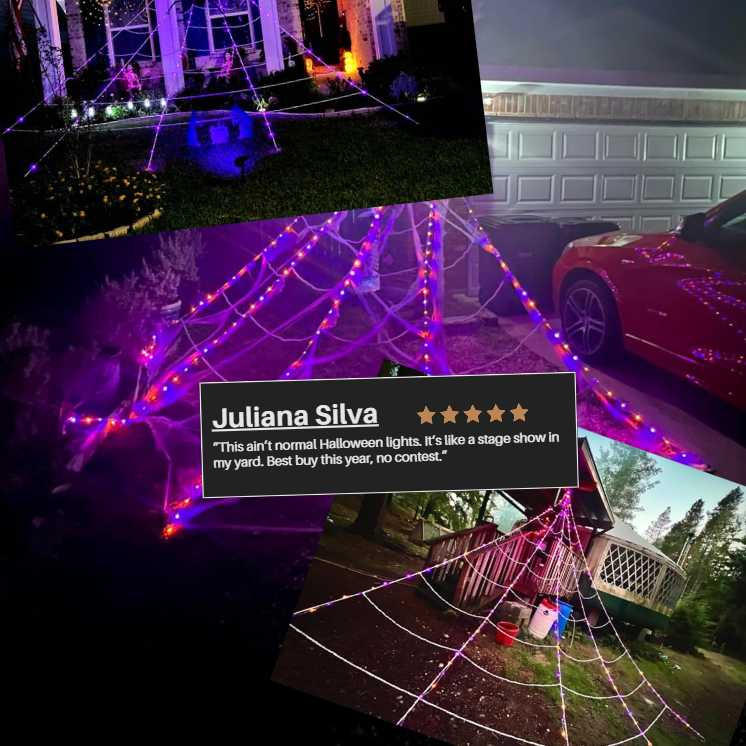 NightCrawl Web Lights