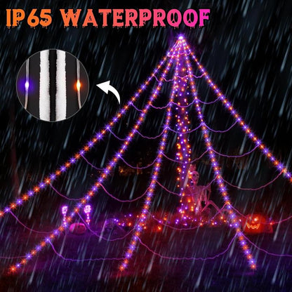 NightCrawl Web Lights